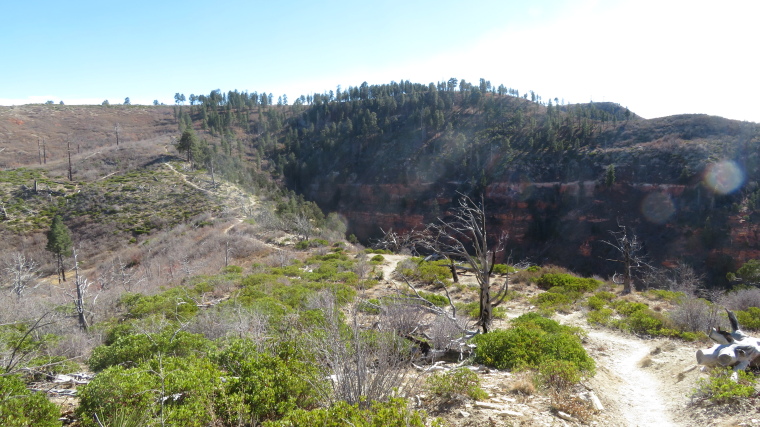 USA SW: Zion, Zion National Park, Right on the rim, Walkopedia