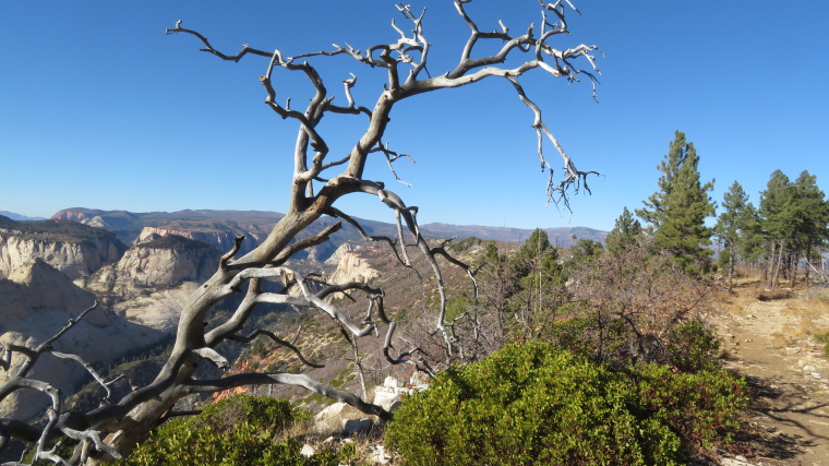 USA SW: Zion, Zion National Park, West Rim Trail, Walkopedia