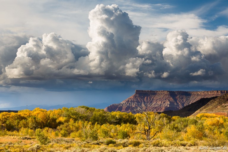 USA SW: Zion, Zion National Park, Zion National Park, Walkopedia