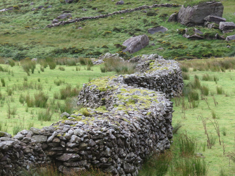 Ireland Kerry Iveragh Peninsula, Kerry Way, Windy wall, Upper Black Valley, Walkopedia