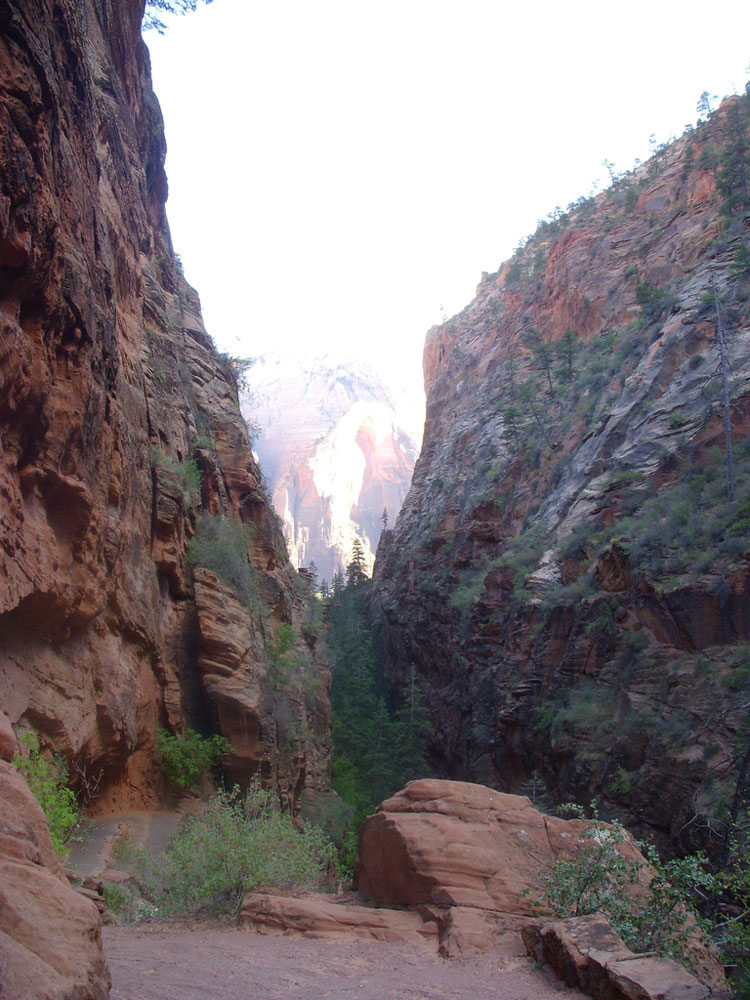 USA SW: Zion, Angel's Landing, On the Angel's Landing Trail, Walkopedia