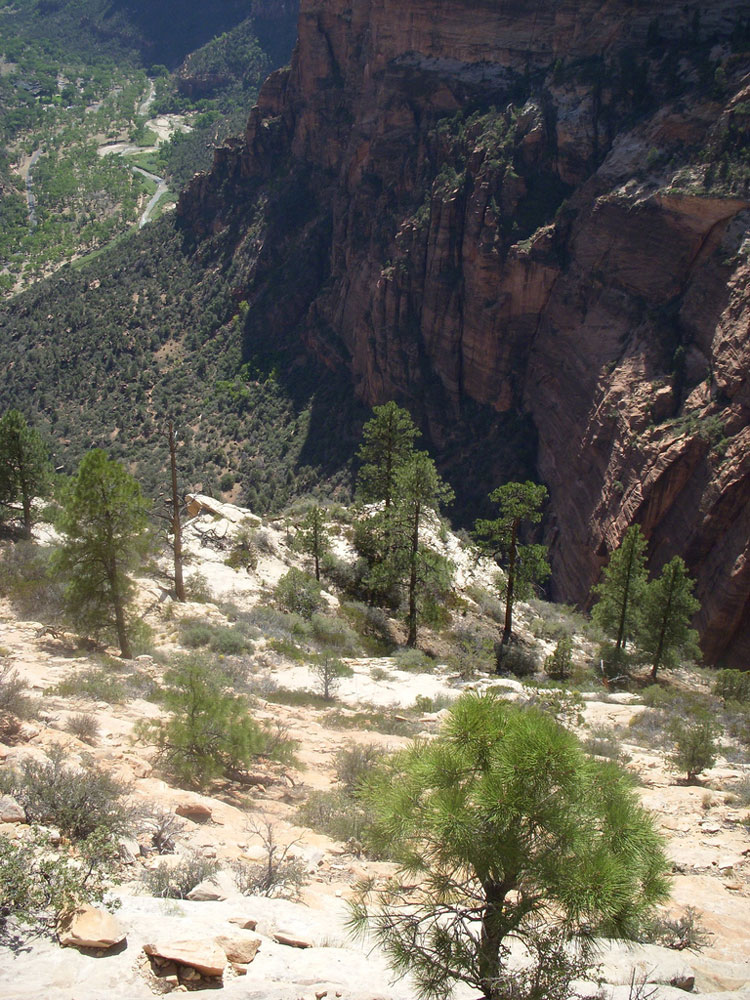 USA SW: Zion, Angel's Landing, View From Angel's Landing, Walkopedia