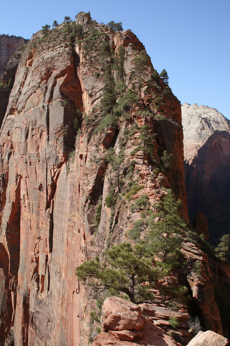 USA SW: Zion, Angel's Landing, Angel's Landing impossibe ridge, Walkopedia