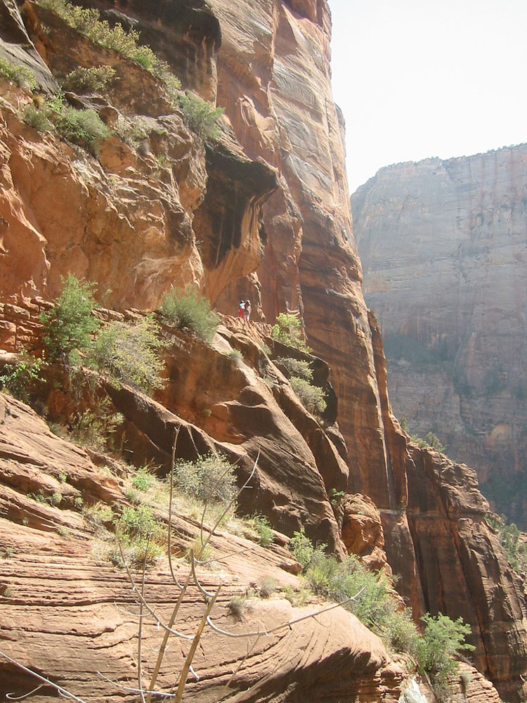 USA SW: Zion, Angel's Landing, Hiking the Cut at Angel's Landing, Walkopedia