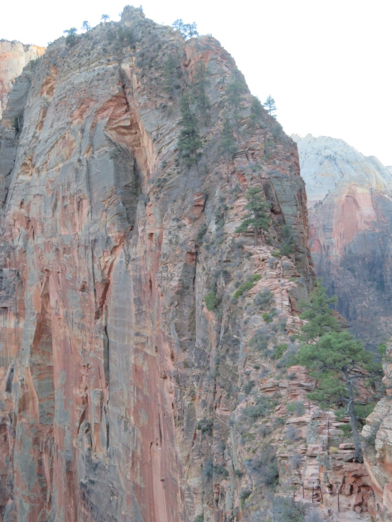 USA SW: Zion, Angel's Landing, Angel's Landing from above Scout Lookout, Walkopedia