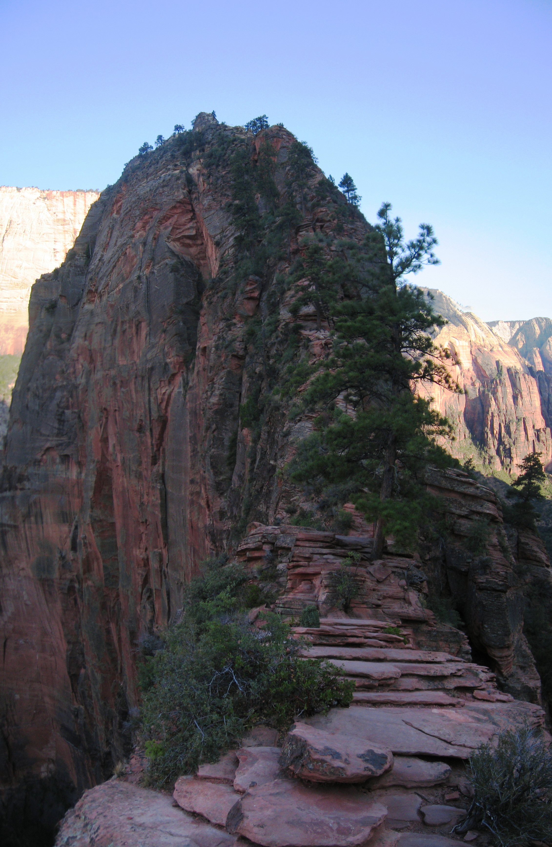 USA SW: Zion, Angel's Landing, , Walkopedia