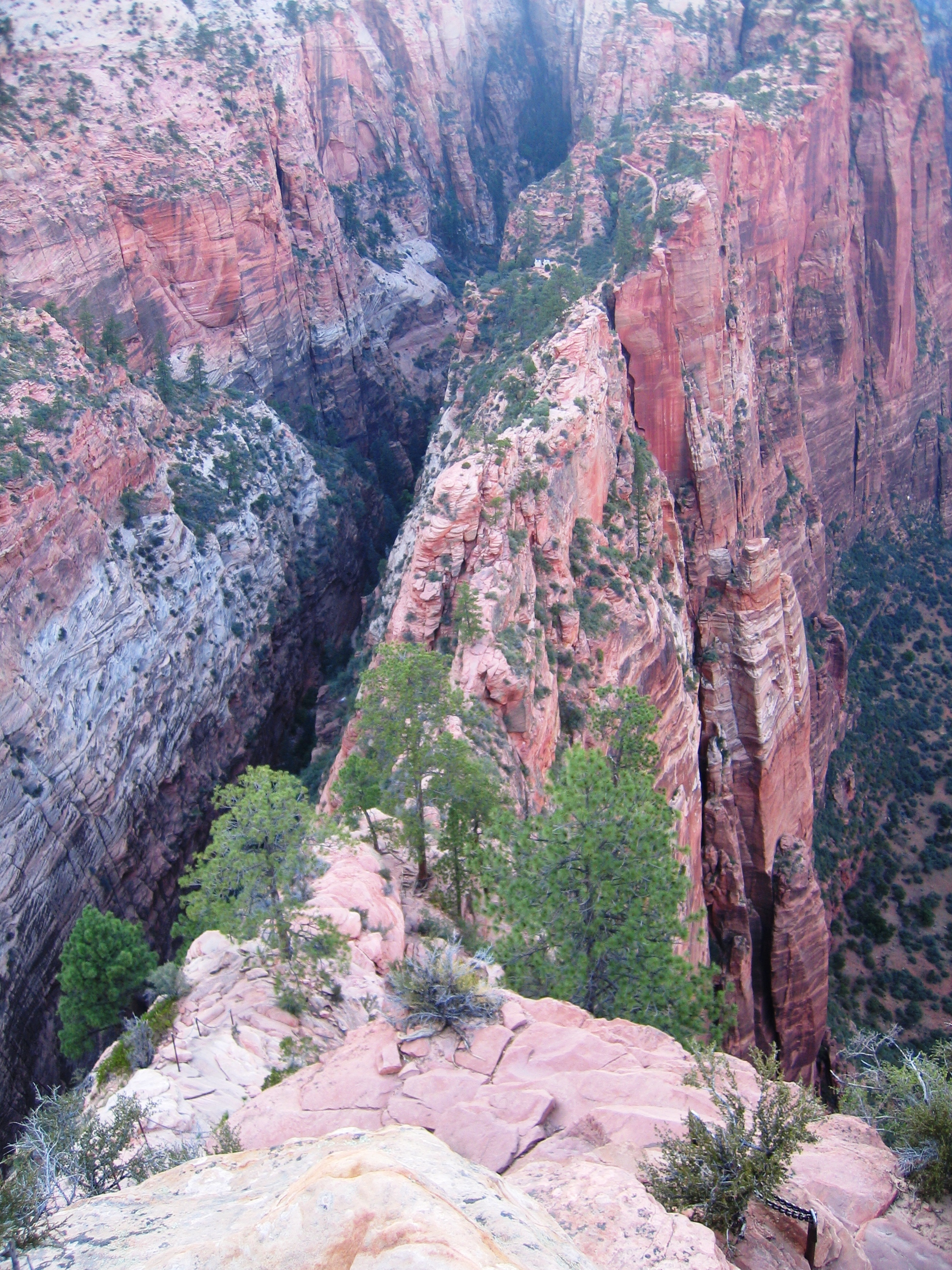 USA SW: Zion, Angel's Landing, , Walkopedia