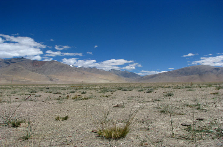 India Ladakh, Markha Valley, Ladakh Stark Landscape, Walkopedia