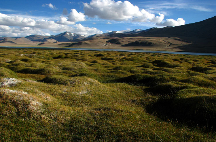 India Ladakh, Markha Valley, Lovely Tso Kar, Walkopedia