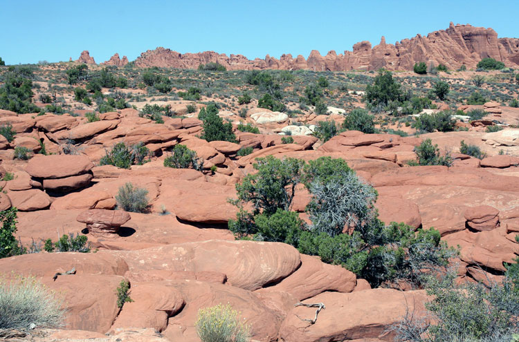 USA SW: Arches NP, Arches National Park, Arches National Park, Walkopedia