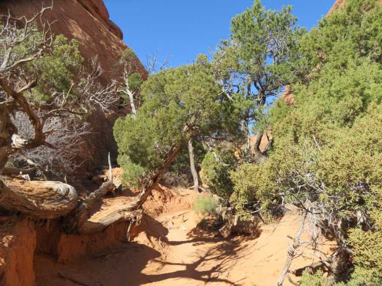 USA SW: Arches NP, Arches National Park, Devil's Garden, Walkopedia