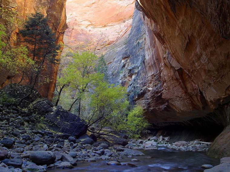 USA SW: Zion, Zion Narrows, Narrows photo, Walkopedia