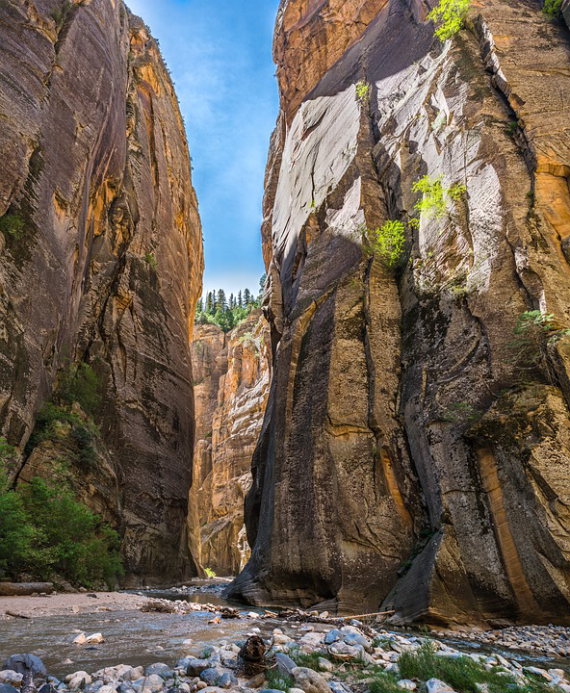 USA SW: Zion, Zion Narrows, Zion Narrows, Walkopedia