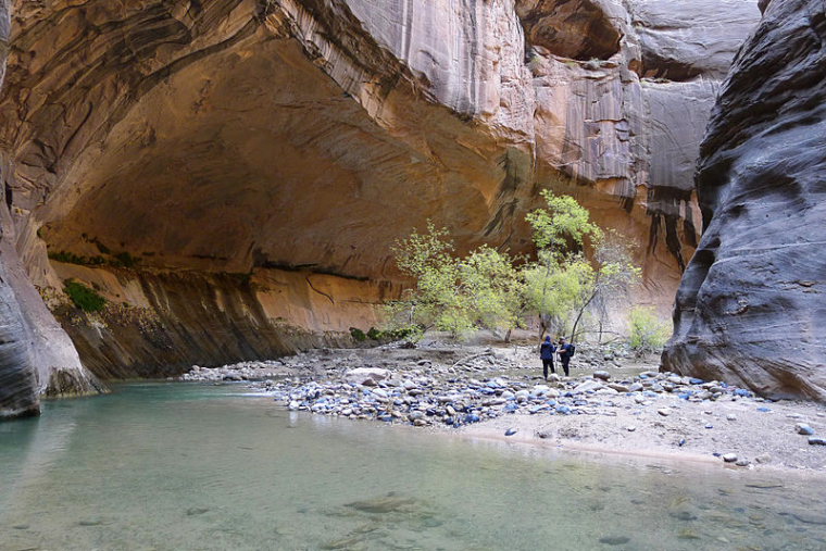 Zion Narrows: Hiking the Narrows in Zion National Park - © Wikimedia Commons user Sakturner
