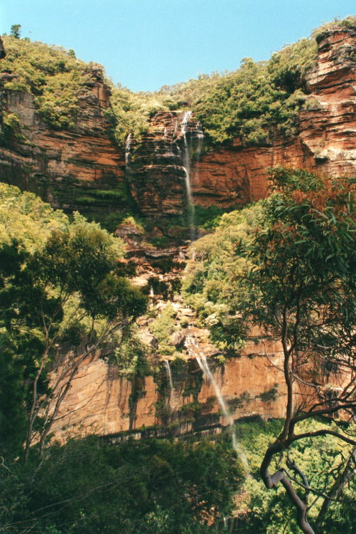 Australia New South Wales/Blue Mountains, Federal Pass, Wentworth Falls, Walkopedia