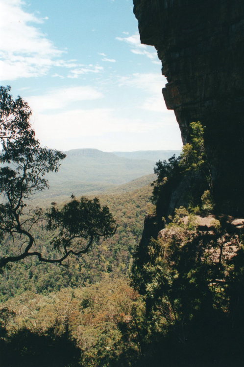 Australia New South Wales/Blue Mountains, Federal Pass, , Walkopedia