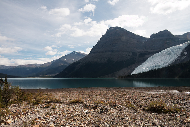  Berg Lake: Berg Lake - ©Copyright Flickr User fchelaru