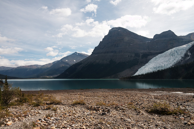 Canada Brit Col: Mt Robson NP,  Berg Lake, Berg Lake, Walkopedia