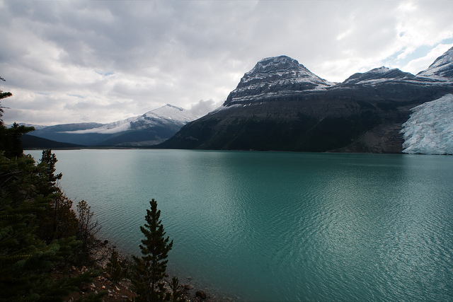 Canada Brit Col: Mt Robson NP,  Berg Lake, Berg Lake, Walkopedia