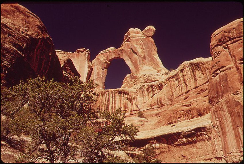 USA SW: Canyonlands NP, Upper Salt Creek, Angel Arch, famous rock formation, Walkopedia