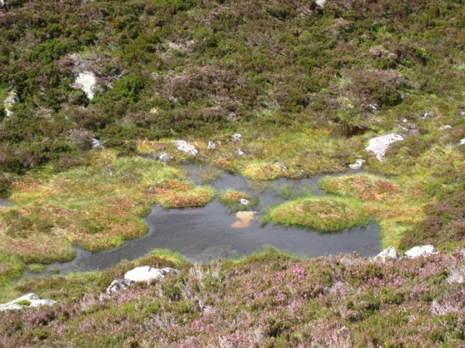 United Kingdom Scotland Cairngorms, Lochnagar and Loch Muick, , Walkopedia