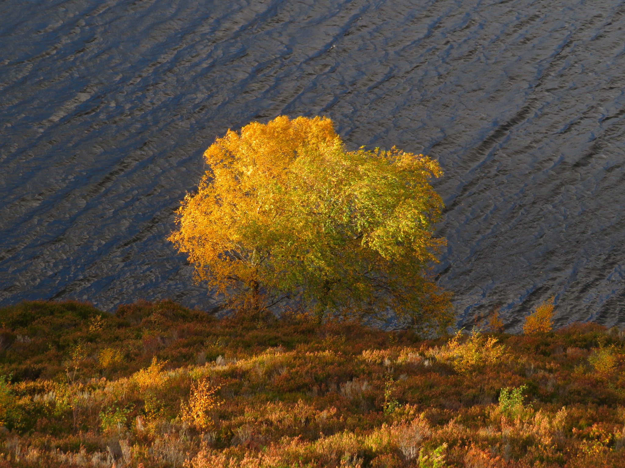 United Kingdom Scotland Cairngorms, Lochnagar and Loch Muick, Loch Muick, October, Walkopedia