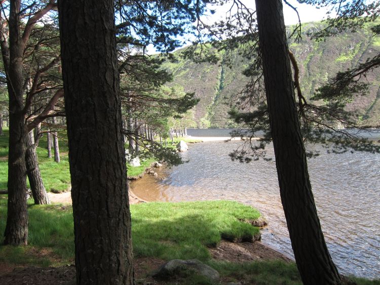 United Kingdom Scotland Cairngorms, Lochnagar and Loch Muick, Loch Muick, by the lodge, Walkopedia