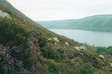 United Kingdom Scotland Cairngorms, Lochnagar and Loch Muick, Lochnagar - , Walkopedia