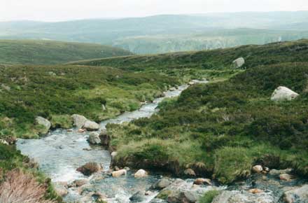 United Kingdom Scotland Cairngorms, Lochnagar and Loch Muick, Lochnagar - , Walkopedia