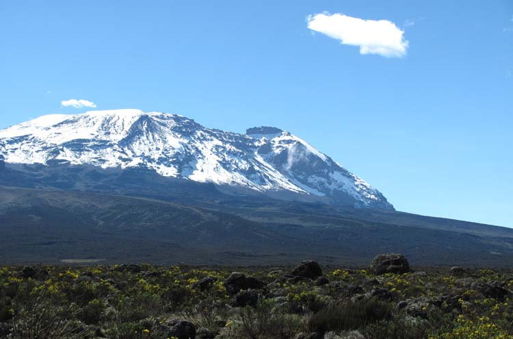 Tanzania Mount Kilimanjaro, Climbing Kilimanjaro Summit, , Walkopedia