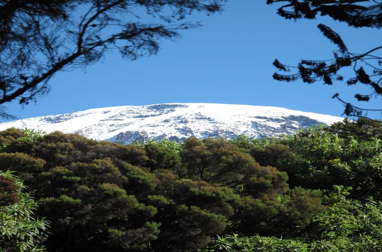 Tanzania Mount Kilimanjaro, Climbing Kilimanjaro Summit, , Walkopedia