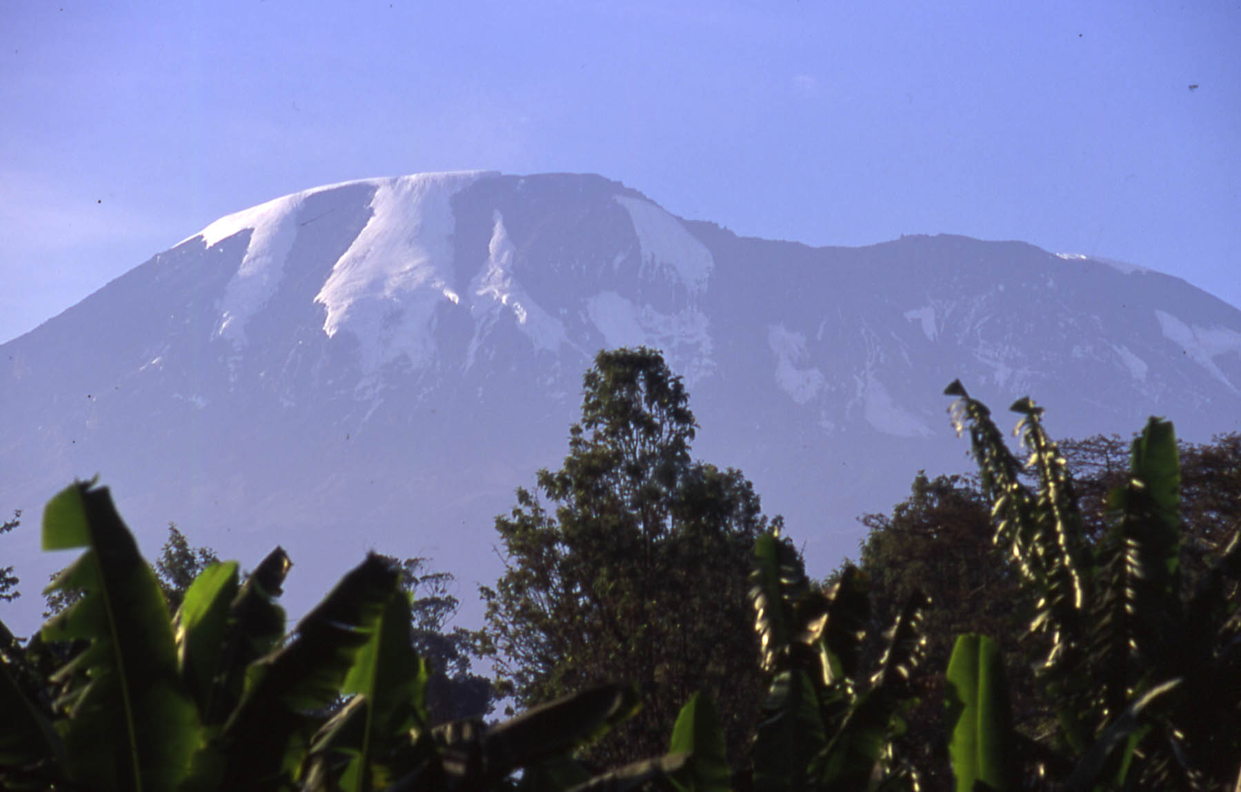 Tanzania Mount Kilimanjaro, Climbing Kilimanjaro Summit, Kili as Earth Mother - her flanks support rain and cloud forest to 9,500ft, Walkopedia