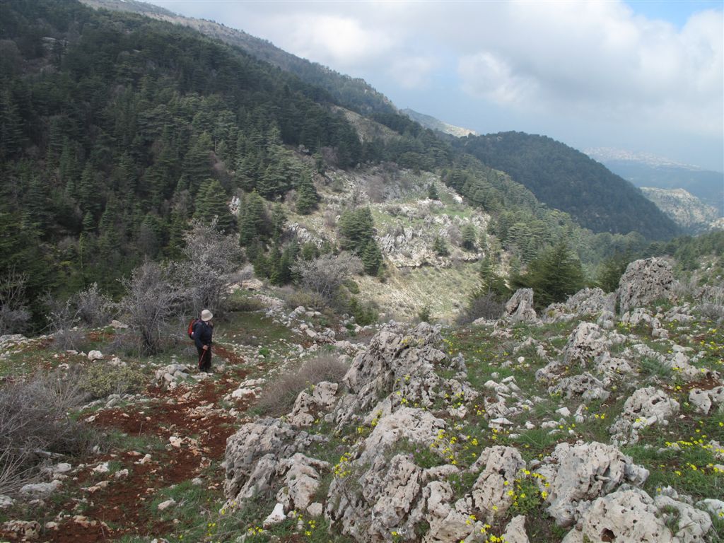 Lebanon Mountain Trail: In the Ehden Nature Reserve - Ehden - © ImadM