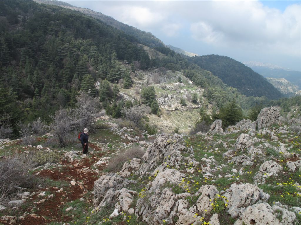 Lebanon, Lebanon Mountain Trail, In the Ehden Nature Reserve - Ehden, Walkopedia