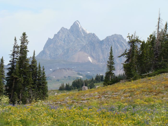 USA Western: Grand Teton NP, Teton Crest Trail, Teton Crest Trail - The Grand, Walkopedia