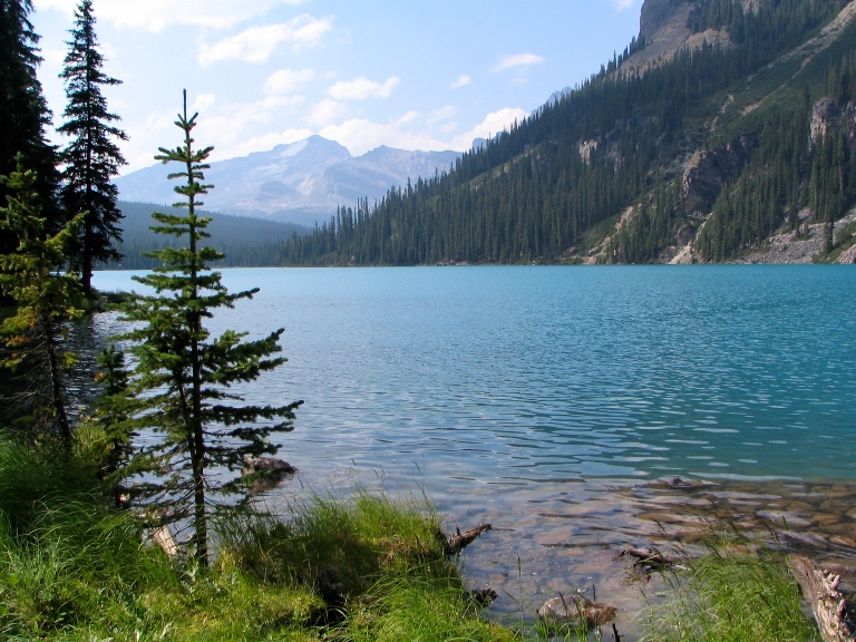 Canada Brit Col: Yoho, Lake O'Hara, Lake O'Hara, Walkopedia