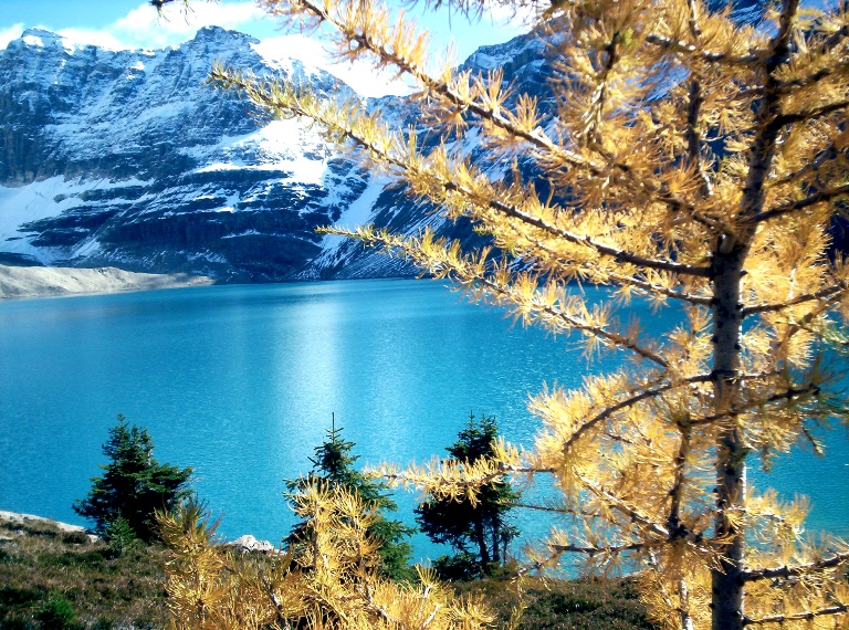 Canada Brit Col: Yoho, Lake O'Hara, Lake O'Hara, Walkopedia