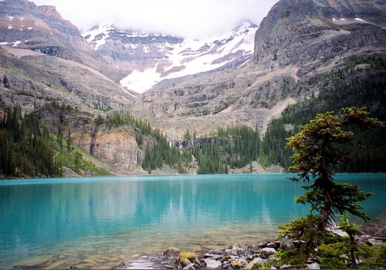 Canada Brit Col: Yoho, Lake O'Hara, Lake O'Hara, Walkopedia