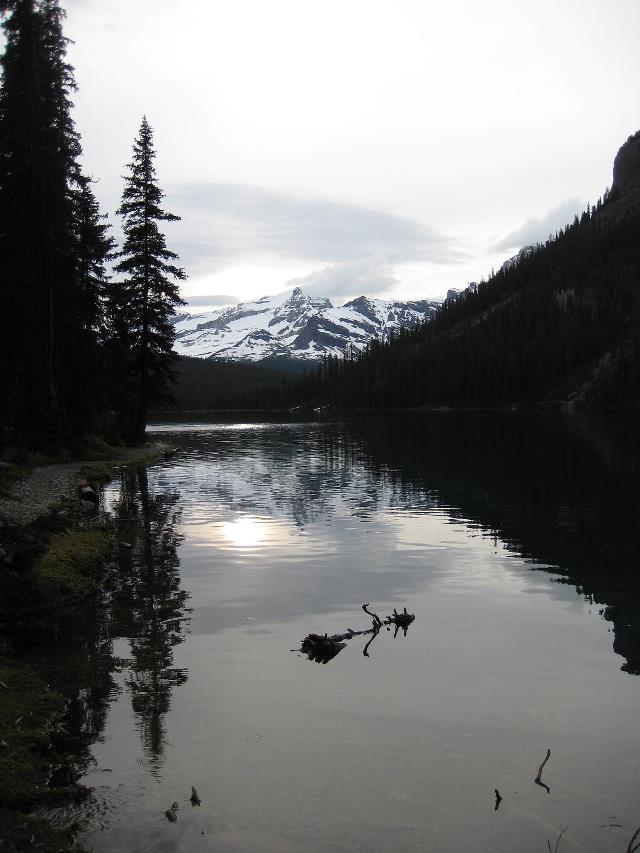 Canada Brit Col: Yoho, Lake O'Hara, Lake O'Hara, Walkopedia