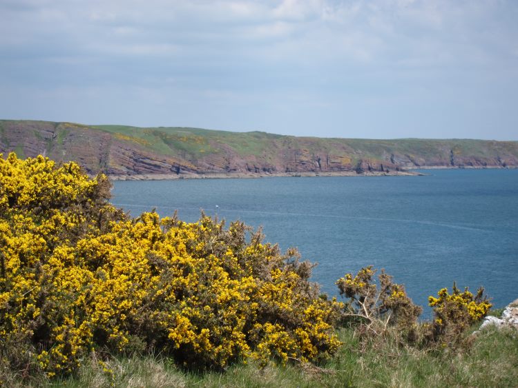 United Kingdom Wales Pembrokeshire, Pembrokeshire Coast Path, East towards Freshwater East, Walkopedia