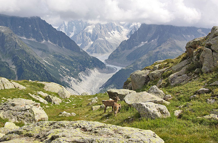 France Alps Aiguilles Rouges, Aiguilles Rouges, Chamonix, Walkopedia