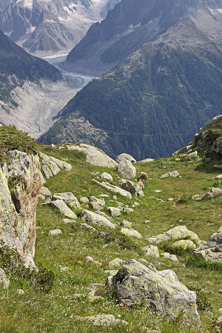 France Alps Aiguilles Rouges, Aiguilles Rouges, La Reserve de Aiguilles Rouge, Walkopedia