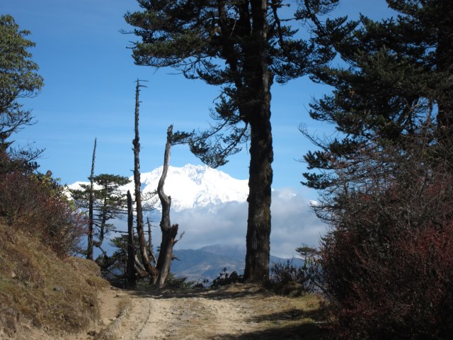 India Sikkim and nearby, Singalila Ridge,  Kanchenjunga from the trail, Walkopedia