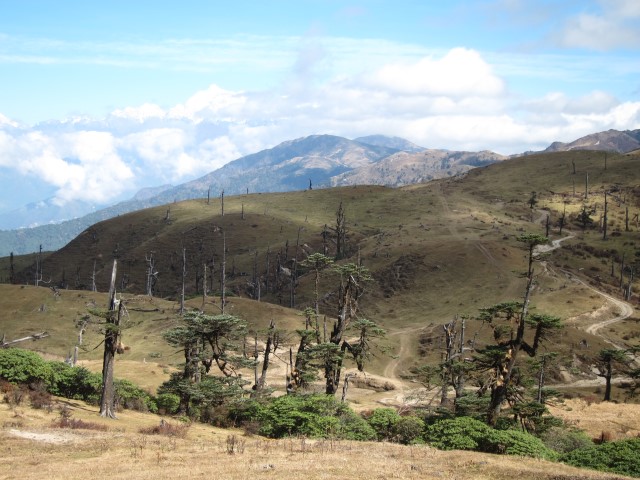 India Sikkim and nearby, Singalila Ridge, Grassy ridgetop, Walkopedia