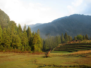 India Sikkim and nearby, Singalila Ridge, Brief sunny interlude, Walkopedia