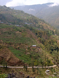 India Sikkim and nearby, Singalila Ridge, Darjeeling hills, Walkopedia