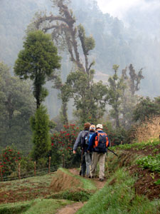 India Sikkim and nearby, Singalila Ridge, Leaving Samanden, Walkopedia