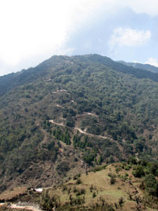 Singalila Ridge: Climb From Gairibas to Jaubari - © David Briese, www.gang-gang.net/nomad