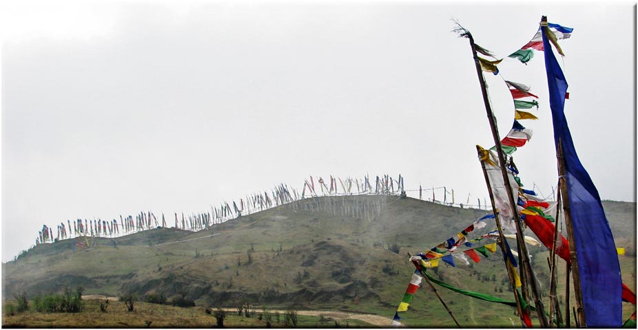 India Sikkim and nearby, Singalila Ridge, Prayer flags at Meghma, Walkopedia