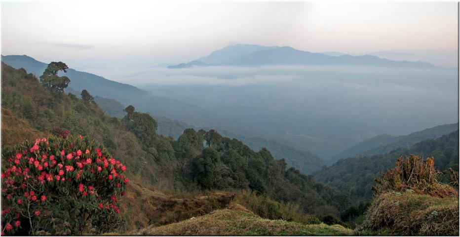 India Sikkim and nearby, Singalila Ridge, Singalila Dawn, Walkopedia